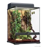 Starters Kit Rainforest - Medium 45x45x60cm