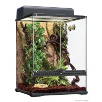 Starters Kit Rainforest - Medium 45x45x60cm