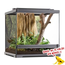 Dart Frog Terrarium 45x45x45