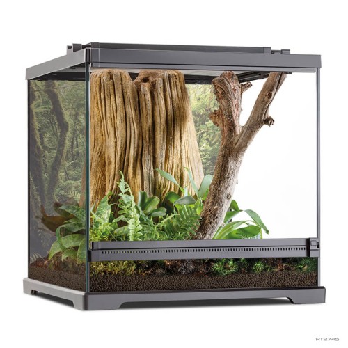 Dart Frog Terrarium 45x45x45