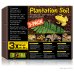 Plantation Soil 3-Pack