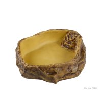 Water Dish X-Large