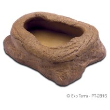 Worm Dish