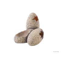 Dinosaur eggs - Tropisch