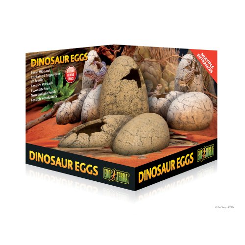 Dinosaur eggs - Desert
