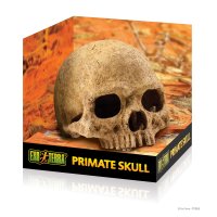 Primaat Skull