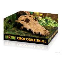 Krokodil Skull
