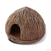 Coconut Cave - Frogs
