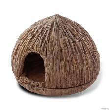 Coconut Cave - Frogs