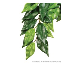 Ficus Silk Large