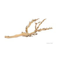 Forest Branch Medium 