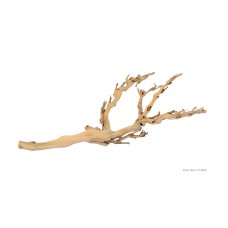 Forest Branch Medium