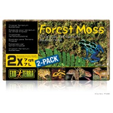 Forest Moss 2-Pack