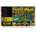 Forest Moss  2-Pack