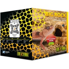 Big Rock Small