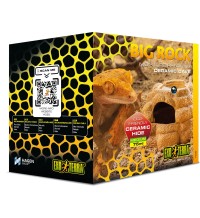 Big Rock Medium