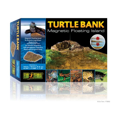 Turtle Bank - Small