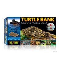 Turtle Bank - Medium