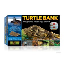 Turtle Bank - Medium