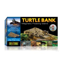 Turtle Bank - Large
