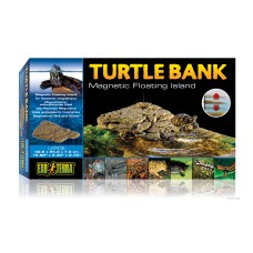 Turtle Bank - Large