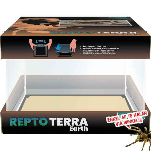 Repto Terra Earth 30x30x20cm