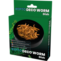 Repto Deco Worm Dish