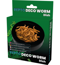 Repto Deco Worm Dish