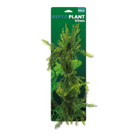Repto Plant Vines - Green Asparagsus