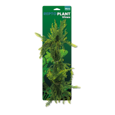 Repto Plant Vines - Green Asparagsus