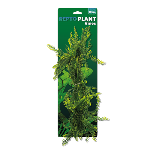 Repto Plant Vines - Green Asparagsus