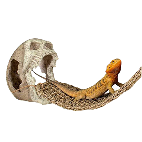 Skull Lizard Lounger