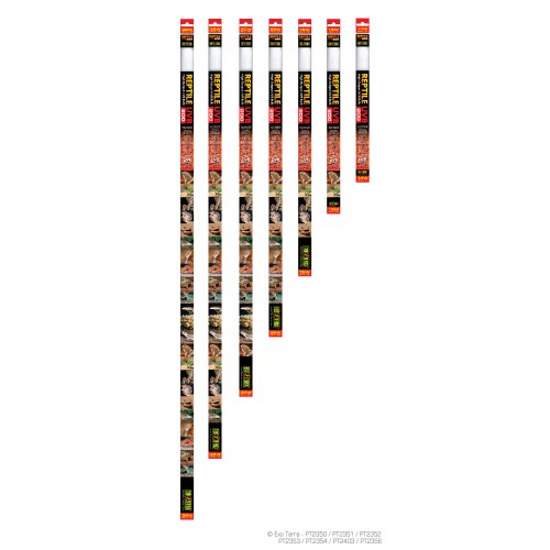 Reptile Uvb 200 T8 Intense