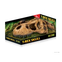 T-Rex Skull