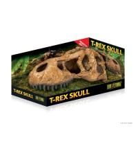T-Rex Skull