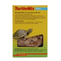 Turtle Mix Baby