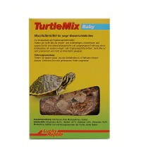 Turtle Mix Baby