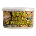 Can O Super Worms