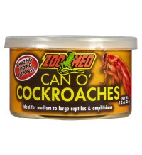 Can O’ Cockroaches
