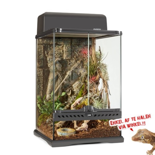 Aztec Terrarium - Mini/Tall - 30x30x45cm