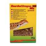 Bearded Dragon Mix Juvenile