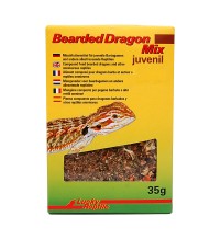 Bearded Dragon Mix Juvenile
