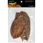Habistat Bladeren Jackfruit