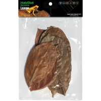 Habistat Bladeren Jackfruit