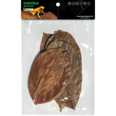 Habistat Bladeren Jackfruit
