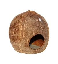 Coco Cave 3/4