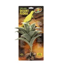 Desert Flora – Silver Mullein