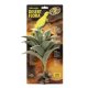 Desert Flora – Silver Mullein