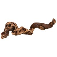 Druiventakken gezandstraald Medium 30-40cm