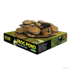 Frog Pond Large